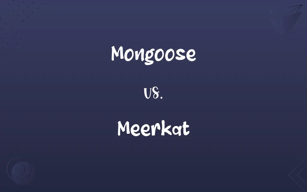 Mongoose vs. Meerkat