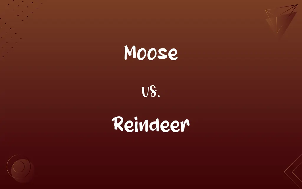 Moose vs. Reindeer