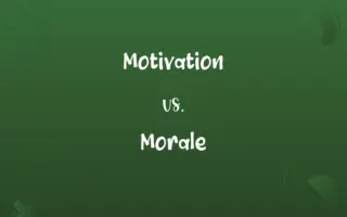 Motivation vs. Morale