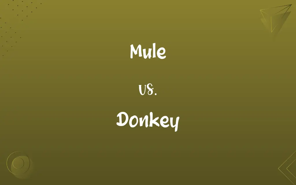 Mule vs. Donkey