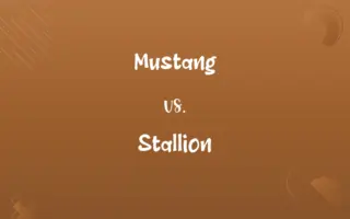 Mustang vs. Stallion