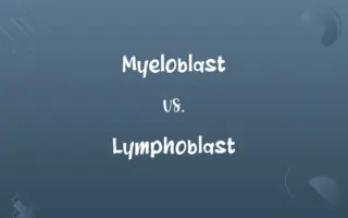 Myeloblast vs. Lymphoblast