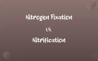 Nitrogen Fixation vs. Nitrification