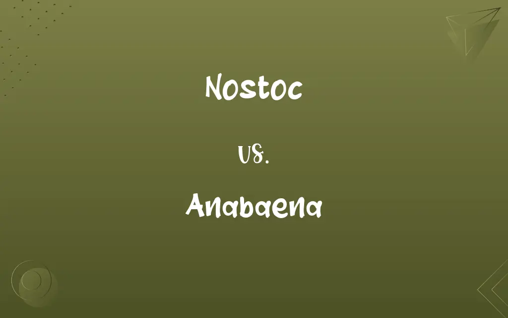 Nostoc vs. Anabaena