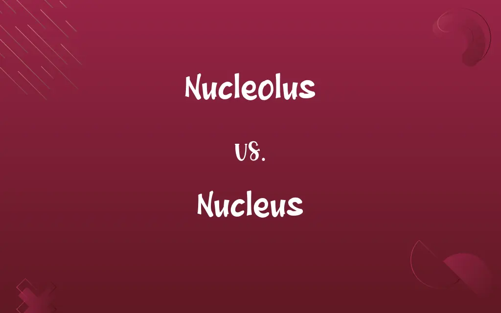 Nucleolus vs. Nucleus
