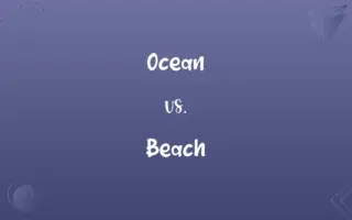 Ocean vs. Beach