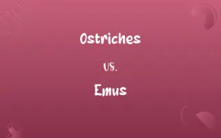 Ostriches vs. Emus