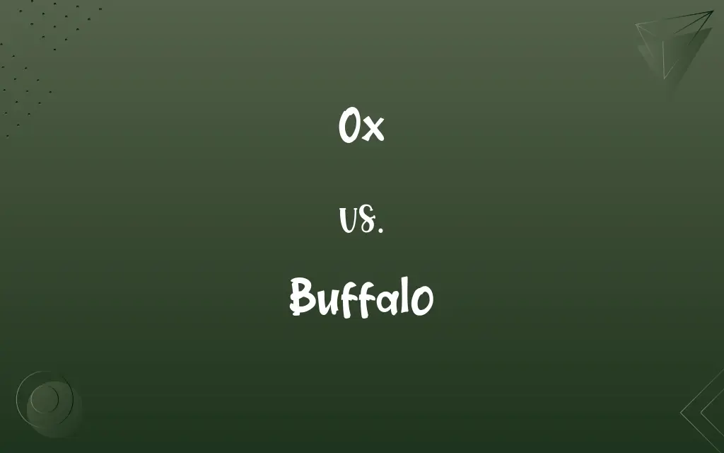 Ox vs. Buffalo