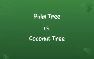 Palm Tree vs. Coconut Tree