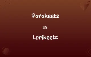 Parakeets vs. Lorikeets