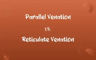 Parallel Venation vs. Reticulate Venation