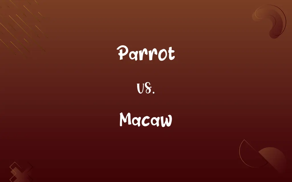 Parrot vs. Macaw