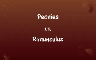Peonies vs. Ranunculus