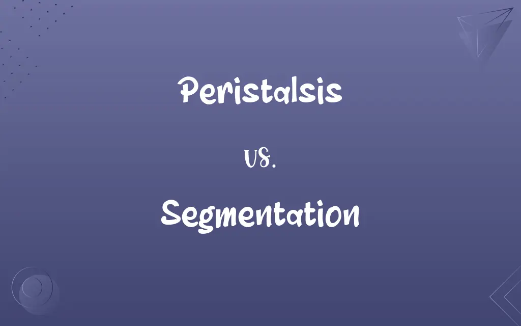 Peristalsis vs. Segmentation