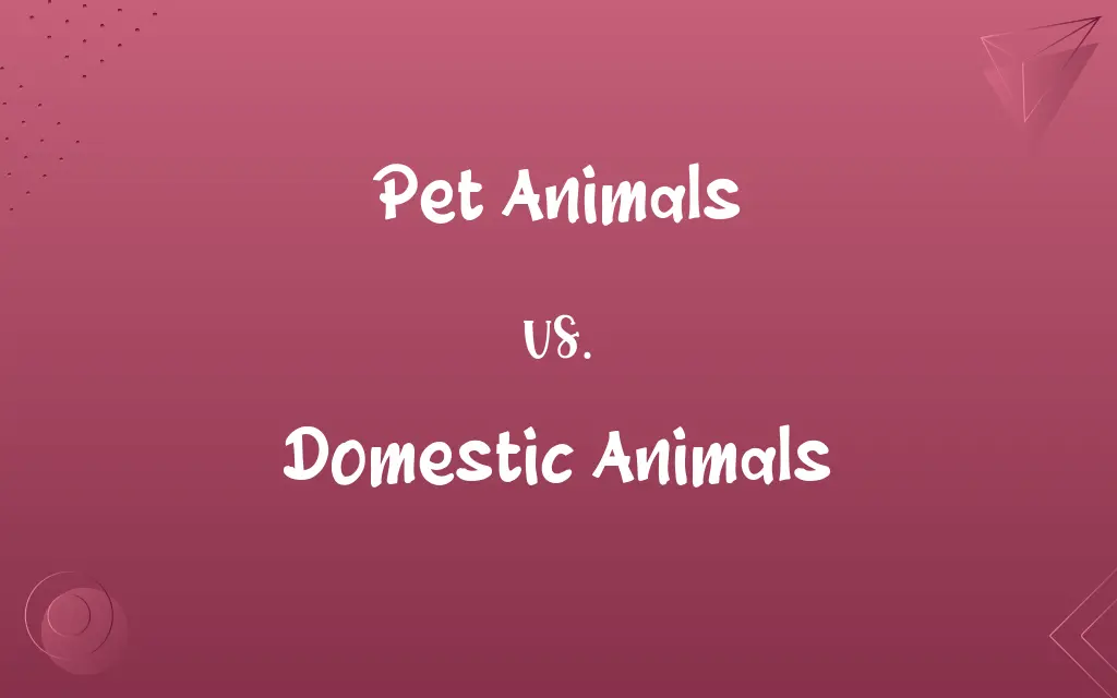 Pet Animals vs. Domestic Animals