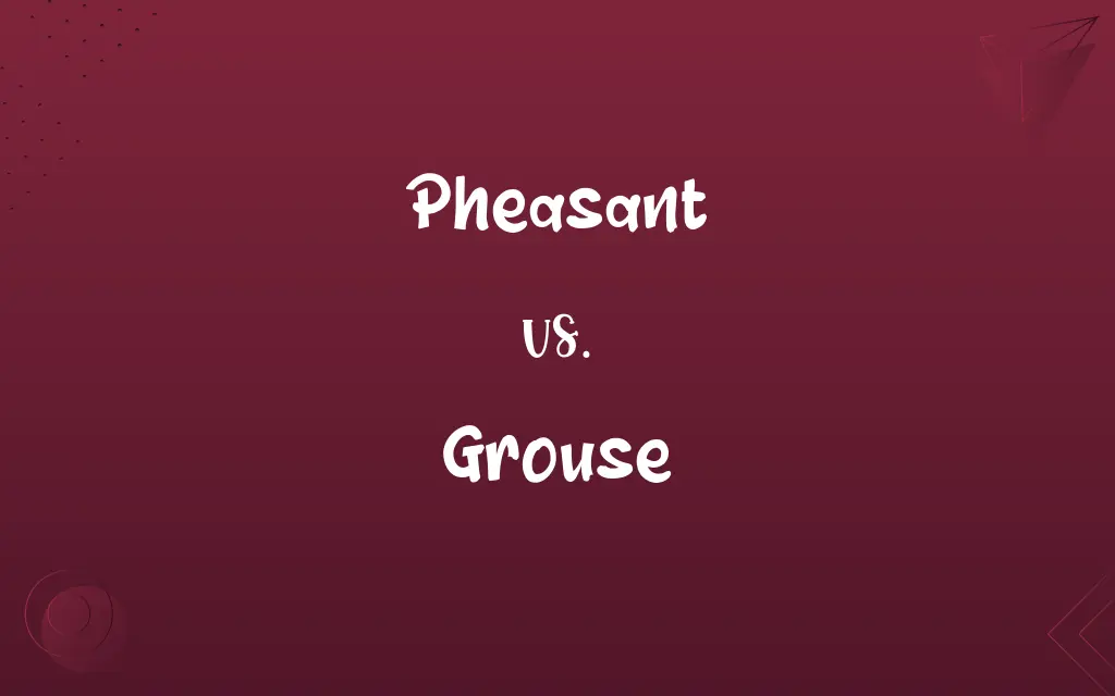 Pheasant vs. Grouse