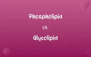 Phospholipid vs. Glycolipid