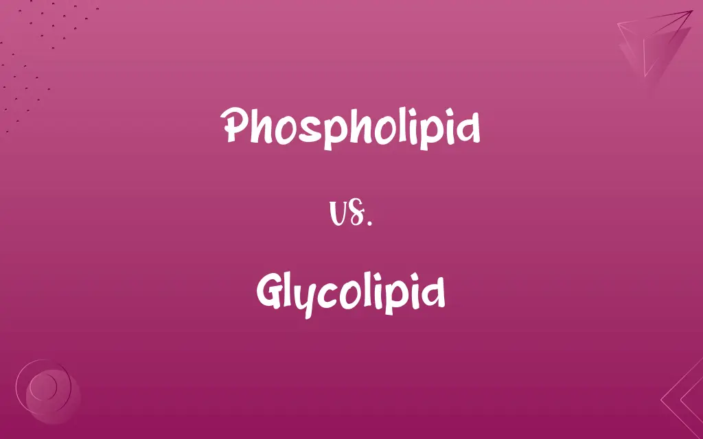 Phospholipid vs. Glycolipid