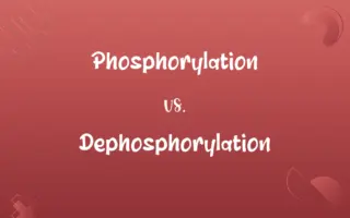 Phosphorylation vs. Dephosphorylation