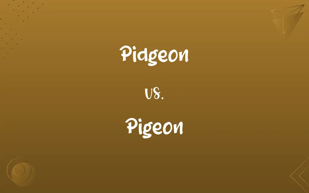Pidgeon vs. Pigeon