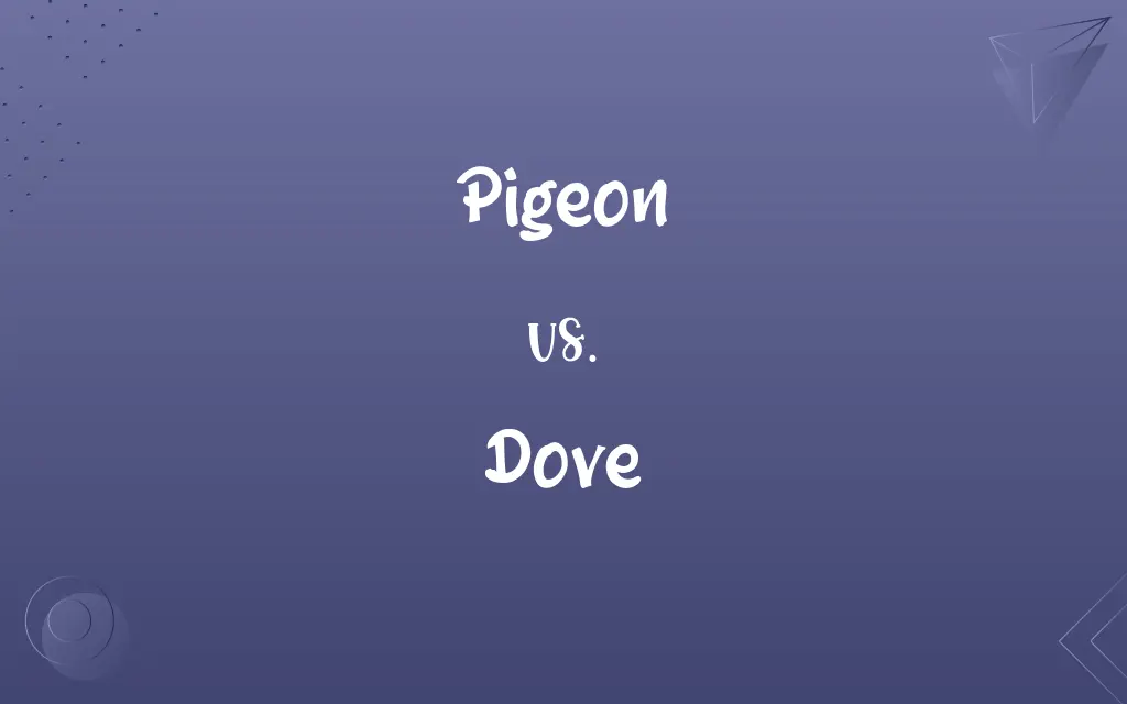 Pigeon vs. Dove