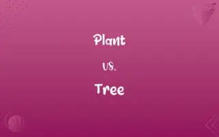 Plant vs. Tree