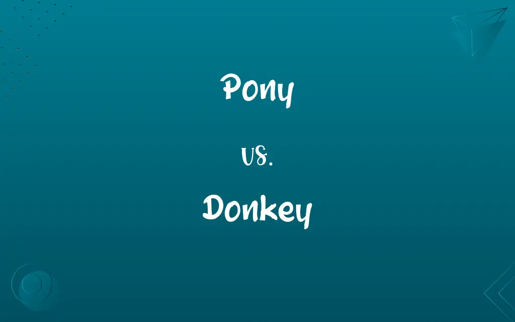 Pony vs. Donkey