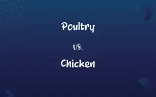 Poultry vs. Chicken