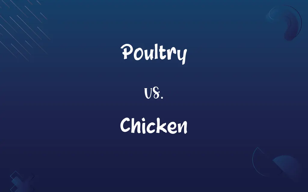 Poultry vs. Chicken