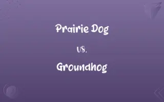 Prairie Dog vs. Groundhog