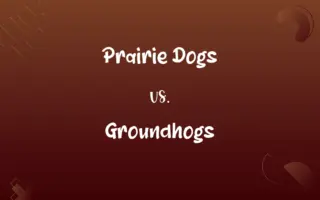 Prairie Dogs vs. Groundhogs
