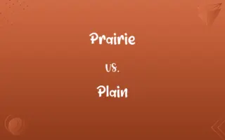 Prairie vs. Plain