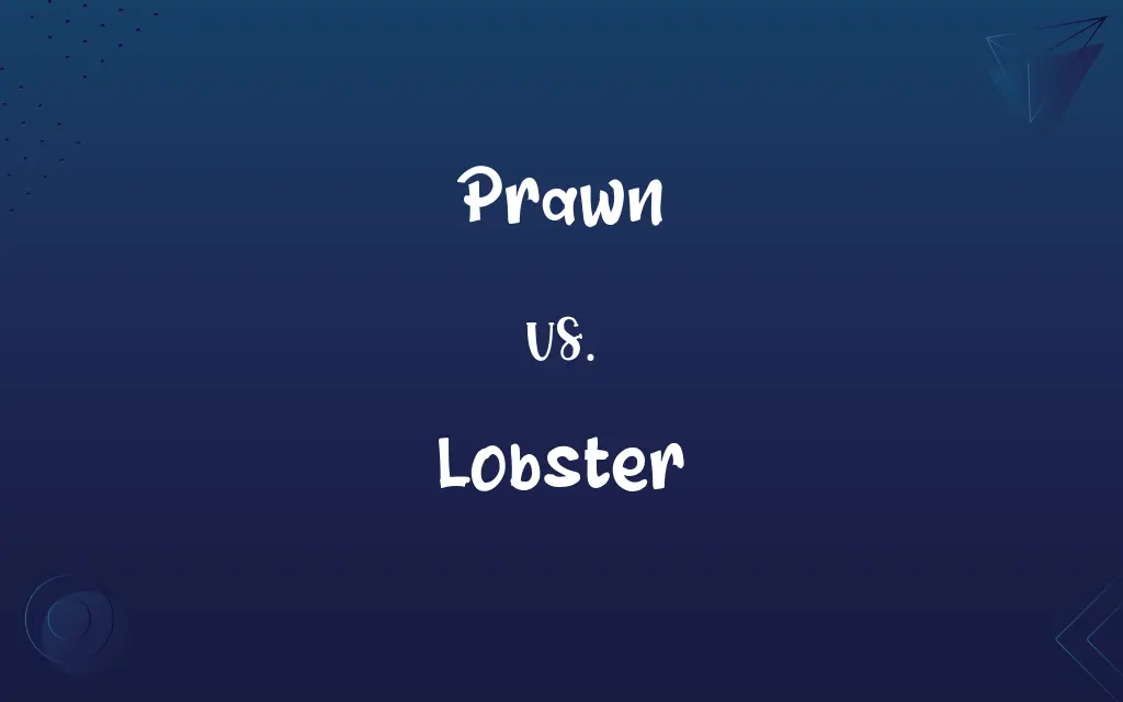 Prawn vs. Lobster