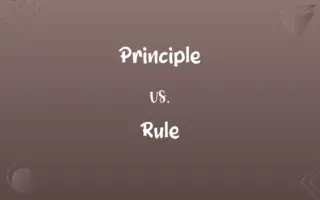 Principle vs. Rule