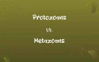 Protozoans vs. Metazoans