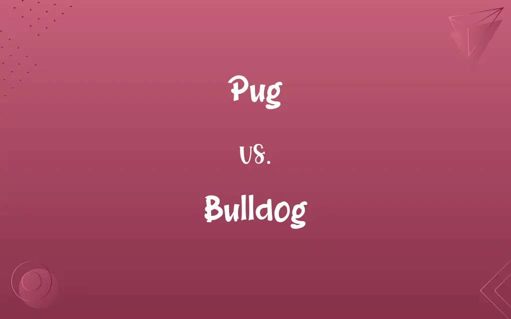 Pug vs. Bulldog