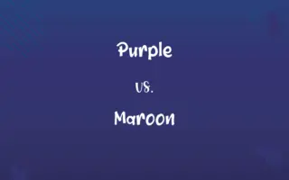 Purple vs. Maroon