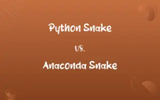 Python Snake vs. Anaconda Snake
