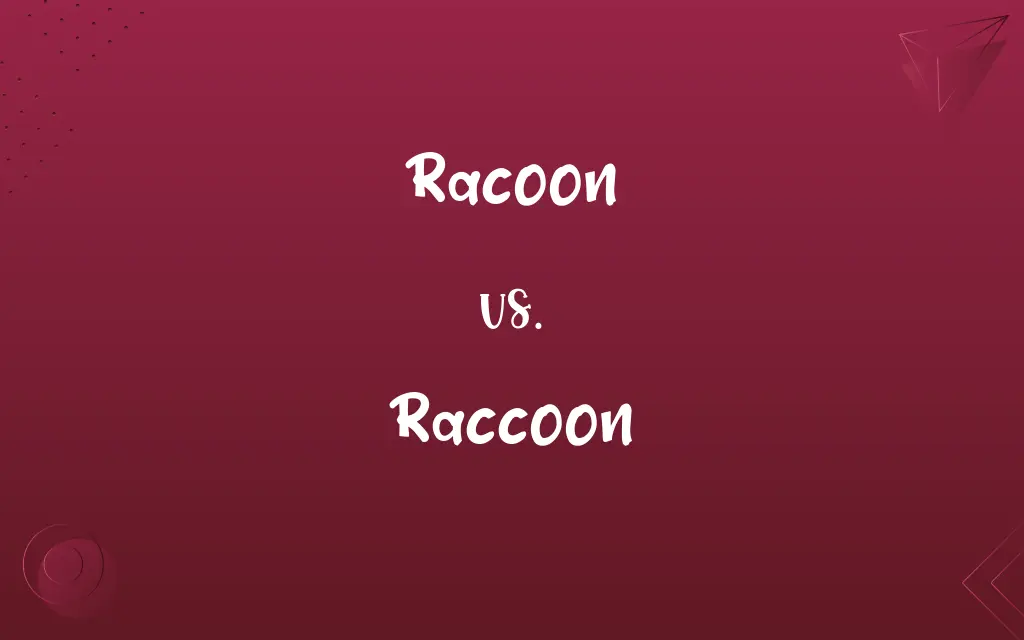 Racoon vs. Raccoon