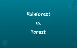 Rainforest vs. Forest