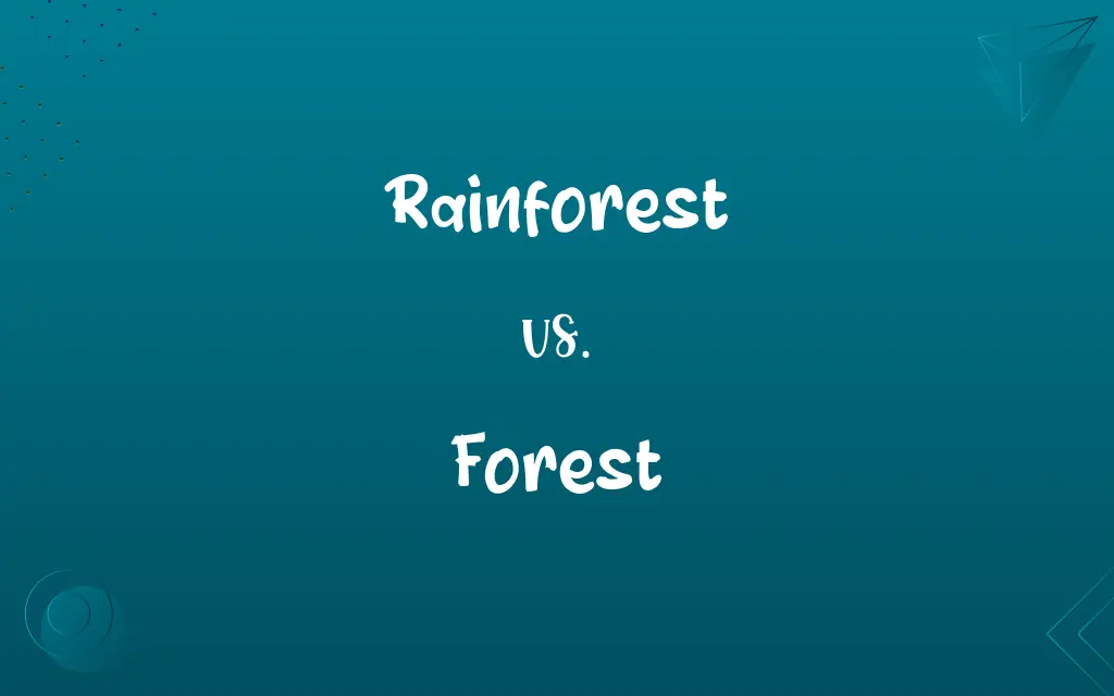 Rainforest vs. Forest
