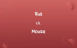 Rat vs. Mouse