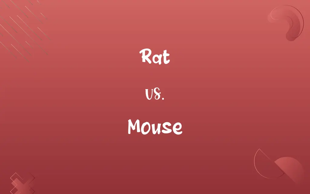 Rat vs. Mouse