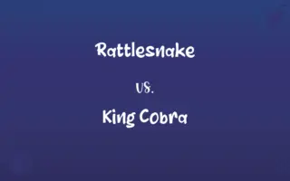 Rattlesnake vs. King Cobra