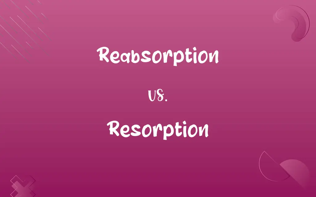 Reabsorption vs. Resorption