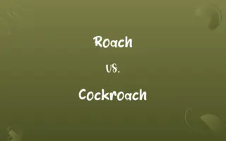 Roach vs. Cockroach