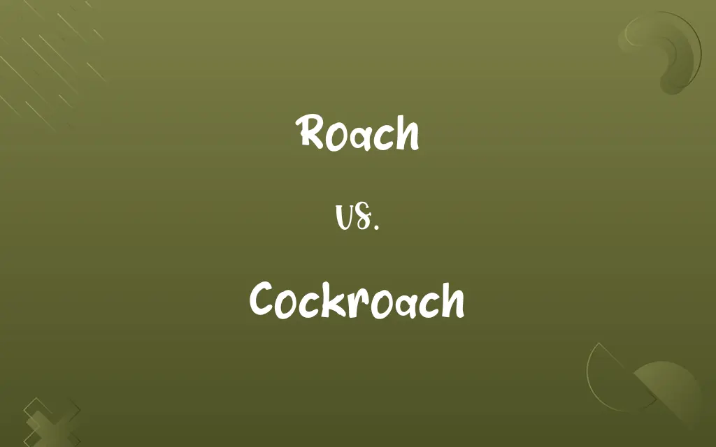 Roach vs. Cockroach