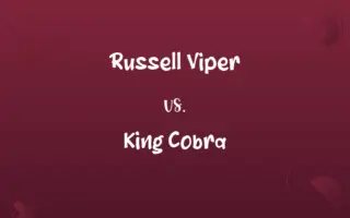 Russell Viper vs. King Cobra