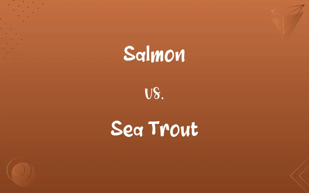 Salmon vs. Sea Trout