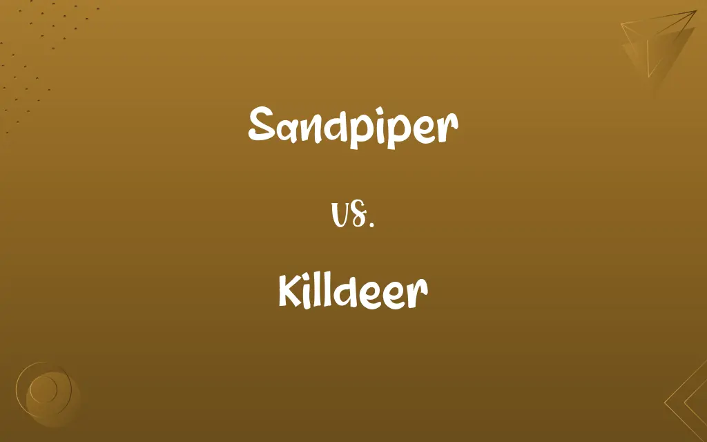 Sandpiper vs. Killdeer